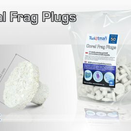 Coral Frag Plugs - 50 sztuk